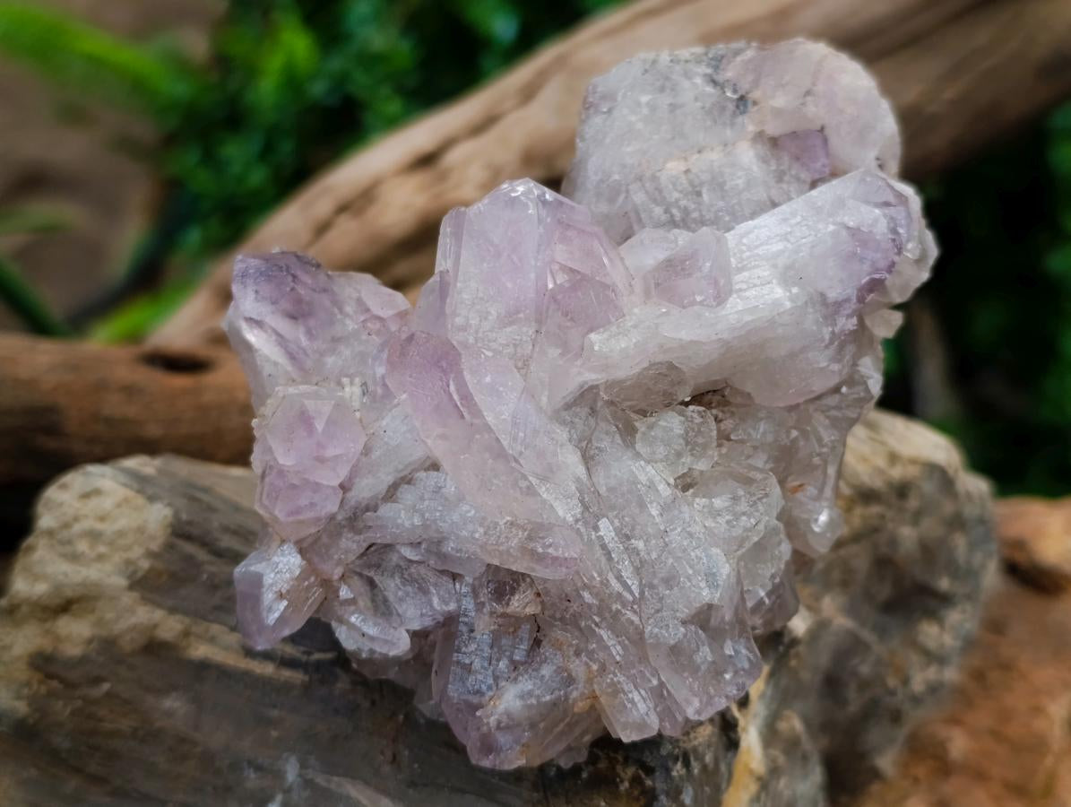 Natural Jacaranda Amethyst Clusters x 5 From Mumbwa, Zambia - Toprock Gemstones and Minerals 