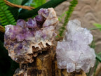 Natural Jacaranda Amethyst Clusters x 5 From Mumbwa, Zambia - Toprock Gemstones and Minerals 