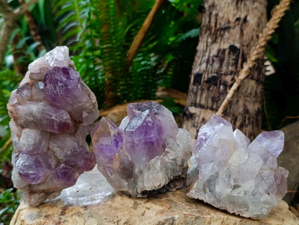 Natural Jacaranda Amethyst Clusters x 5 From Mumbwa, Zambia - Toprock Gemstones and Minerals 