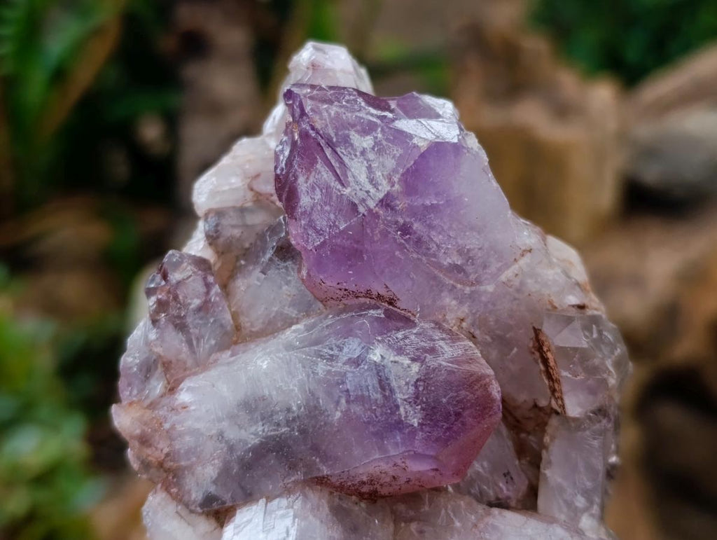 Natural Jacaranda Amethyst Clusters x 5 From Mumbwa, Zambia - Toprock Gemstones and Minerals 