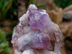 Natural Jacaranda Amethyst Clusters x 5 From Mumbwa, Zambia - Toprock Gemstones and Minerals 