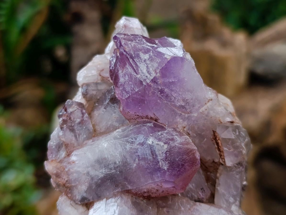 Natural Jacaranda Amethyst Clusters x 5 From Mumbwa, Zambia - Toprock Gemstones and Minerals 