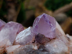 Natural Jacaranda Amethyst Clusters x 5 From Mumbwa, Zambia - Toprock Gemstones and Minerals 