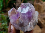 Natural Jacaranda Amethyst Clusters x 5 From Mumbwa, Zambia - Toprock Gemstones and Minerals 