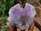Natural Jacaranda Amethyst Clusters x 5 From Mumbwa, Zambia - Toprock Gemstones and Minerals 