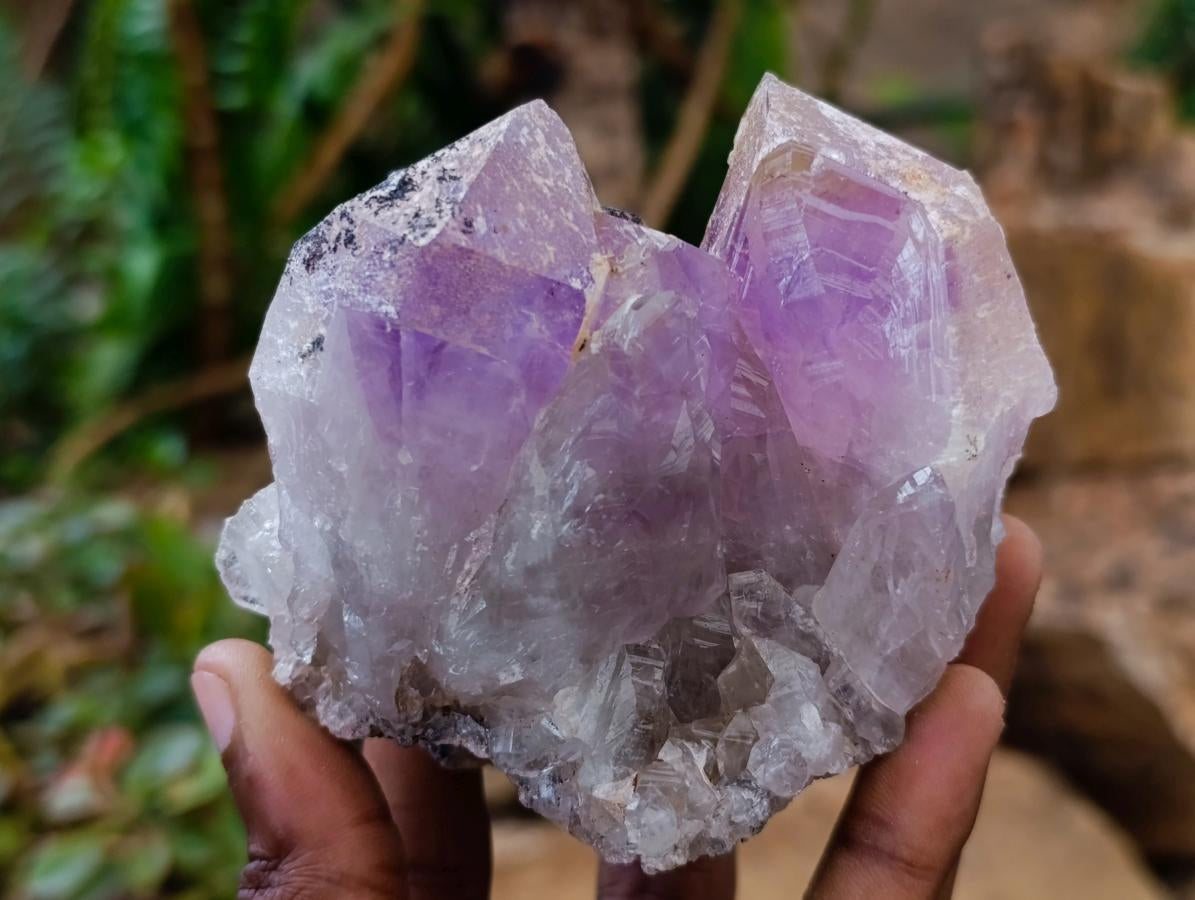 Natural Jacaranda Amethyst Clusters x 5 From Mumbwa, Zambia - Toprock Gemstones and Minerals 