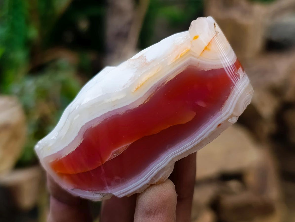 Polished One Side Red Shashe River Agate Nodules x 4 From Shashe River, Zimbabwe - Toprock Gemstones and Minerals 