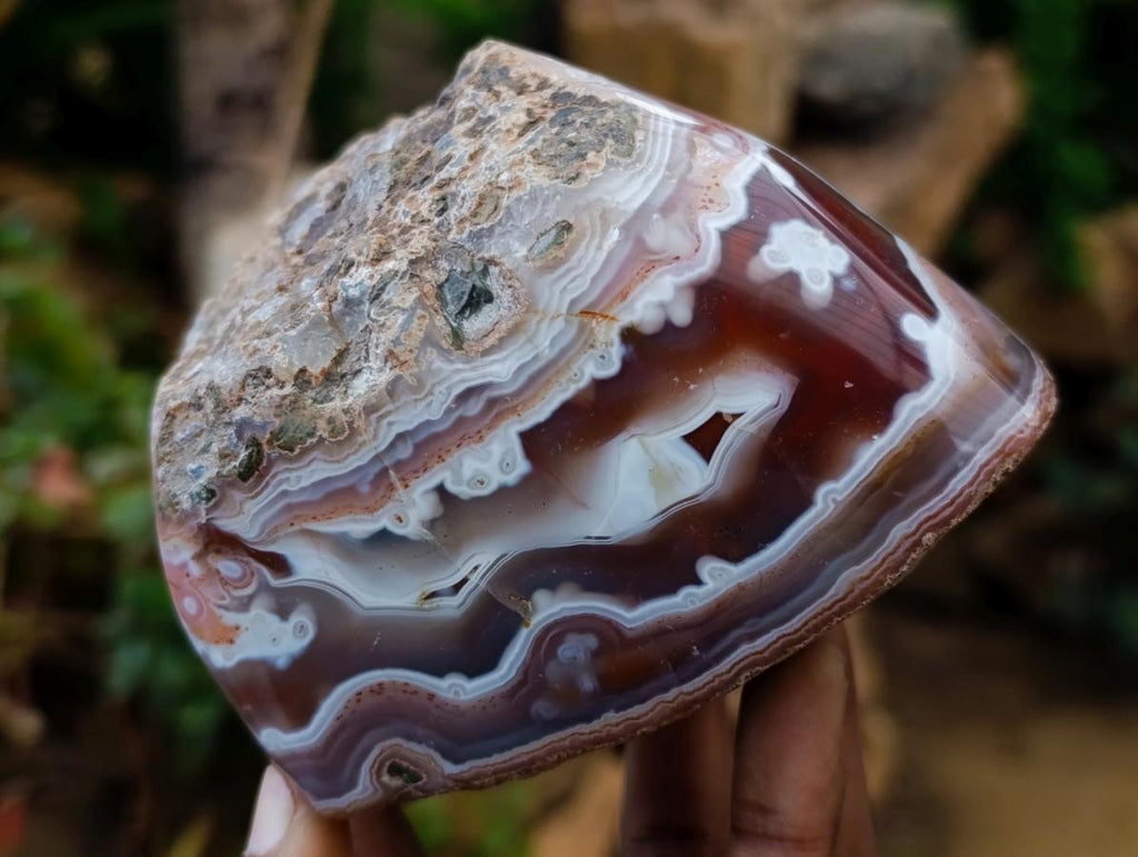 Polished One Side Red Shashe River Agate Nodules x 4 From Shashe River, Zimbabwe - Toprock Gemstones and Minerals 