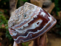 Polished One Side Red Shashe River Agate Nodules x 4 From Shashe River, Zimbabwe - Toprock Gemstones and Minerals 