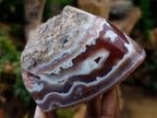 Polished One Side Red Shashe River Agate Nodules x 4 From Shashe River, Zimbabwe - Toprock Gemstones and Minerals 