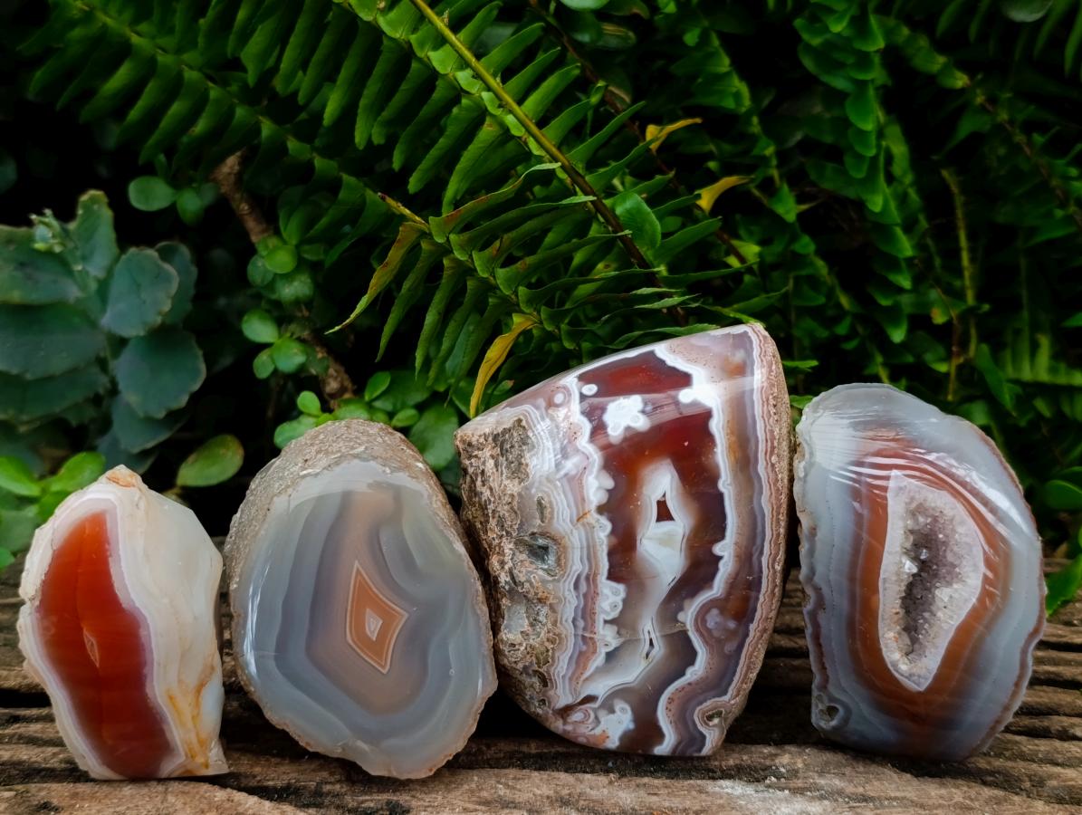 Polished One Side Red Shashe River Agate Nodules x 4 From Shashe River, Zimbabwe - Toprock Gemstones and Minerals 