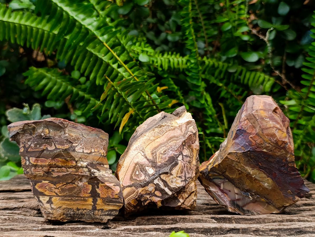 Natural Nguni Jasper Cobbed Specimens x 28 From Northern Cape, South Africa - Toprock Gemstones and Minerals 