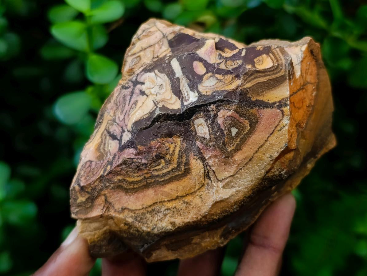 Natural Nguni Jasper Cobbed Specimens x 28 From Northern Cape, South Africa - Toprock Gemstones and Minerals 
