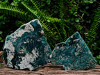Polished One Side Mtorolite Chrysoprase Slices x 2 From Mutorashanga, Zimbabwe - Toprock Gemstones and Minerals 