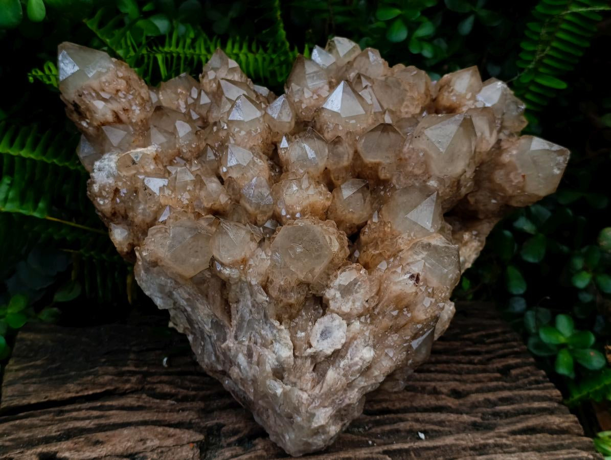 Natural XXL Cascading White Phantom Smokey Luena Quartz Cluster x 1 From Luena, Congo - Toprock Gemstones and Minerals 
