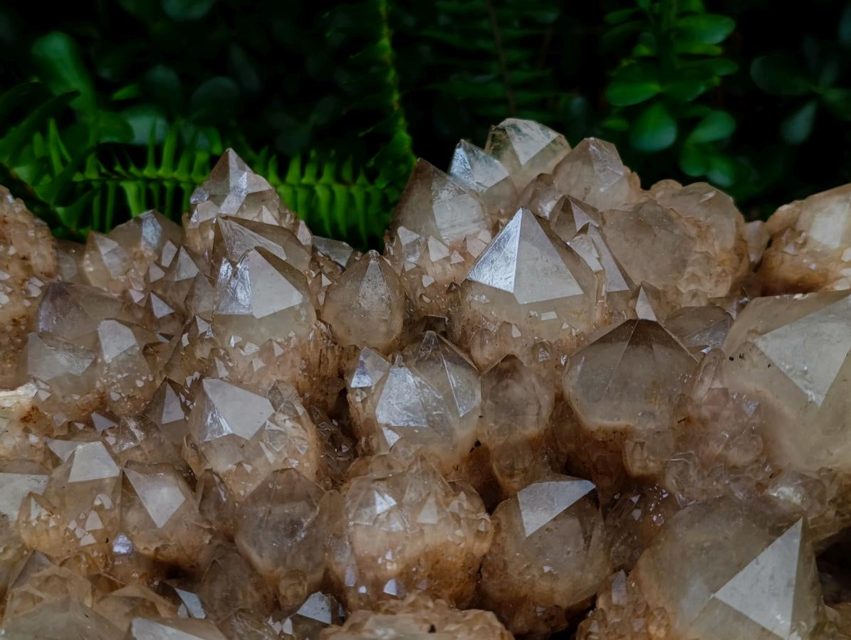 Natural XXL Cascading White Phantom Smokey Luena Quartz Cluster x 1 From Luena, Congo - Toprock Gemstones and Minerals 