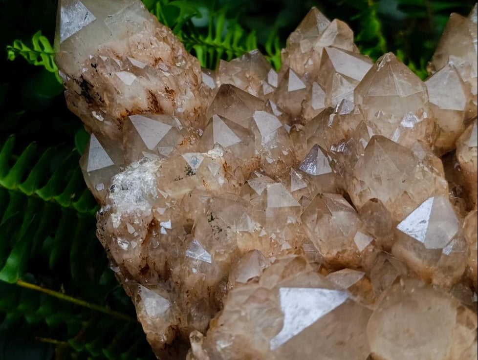 Natural XXL Cascading White Phantom Smokey Luena Quartz Cluster x 1 From Luena, Congo - Toprock Gemstones and Minerals 