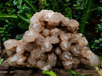 Natural XXL Cascading White Phantom Smokey Luena Quartz Cluster x 1 From Luena, Congo - Toprock Gemstones and Minerals 