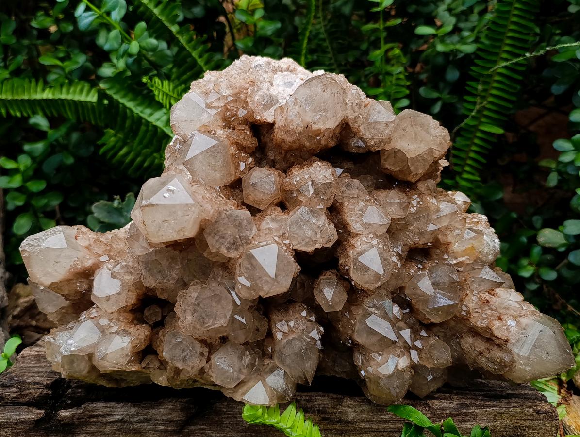 Natural XXL Cascading White Phantom Smokey Luena Quartz Cluster x 1 From Luena, Congo - Toprock Gemstones and Minerals 