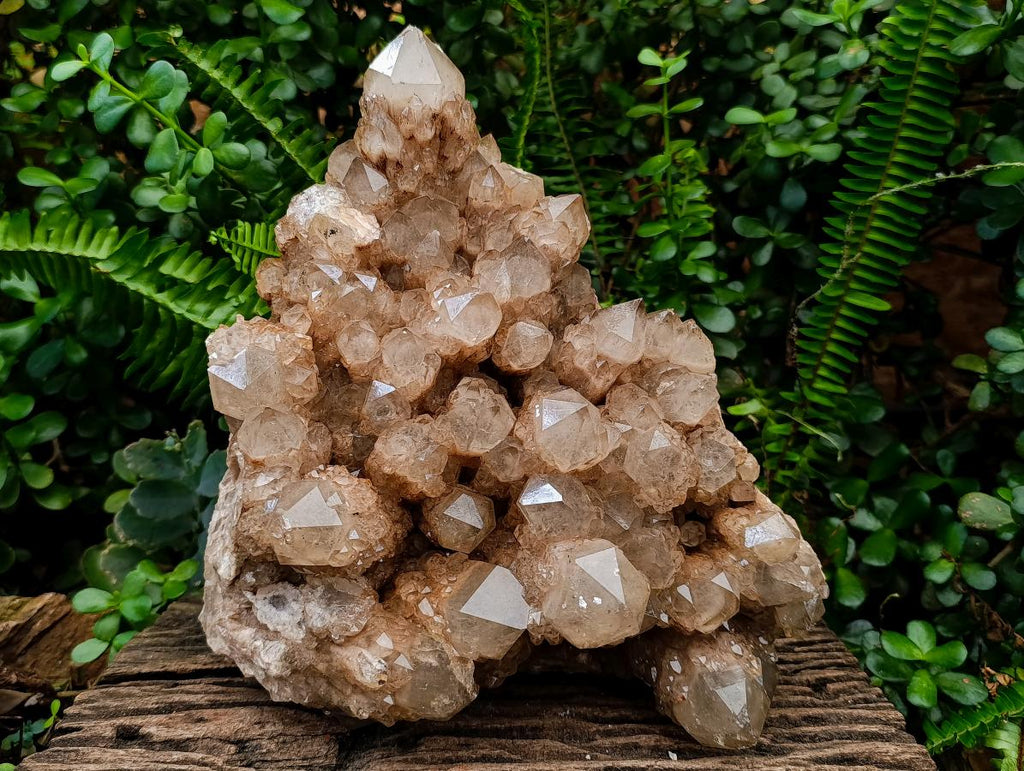Natural XXL Cascading White Phantom Smokey Luena Quartz Cluster x 1 From Luena, Congo - Toprock Gemstones and Minerals 