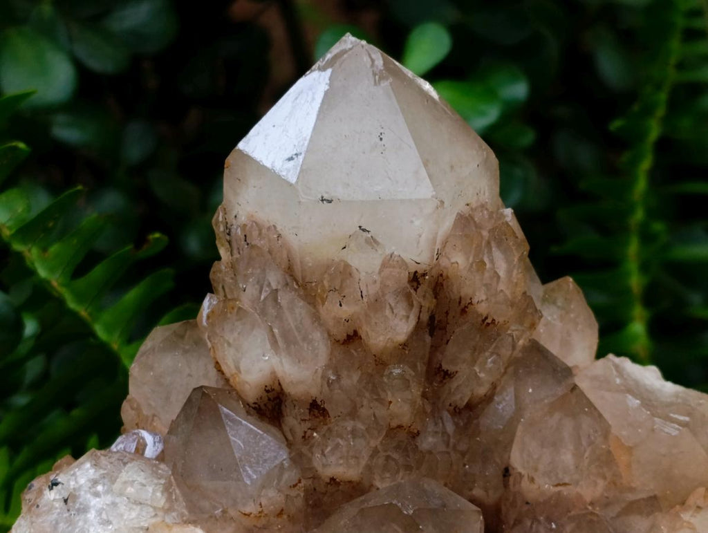 Natural XXL Cascading White Phantom Smokey Luena Quartz Cluster x 1 From Luena, Congo - Toprock Gemstones and Minerals 