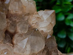 Natural XXL Cascading White Phantom Smokey Luena Quartz Cluster x 1 From Luena, Congo - Toprock Gemstones and Minerals 