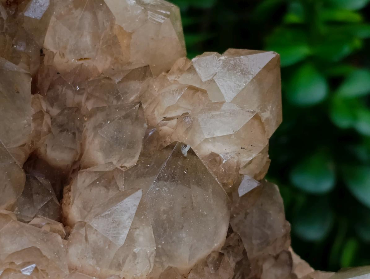 Natural XXL Cascading White Phantom Smokey Luena Quartz Cluster x 1 From Luena, Congo - Toprock Gemstones and Minerals 