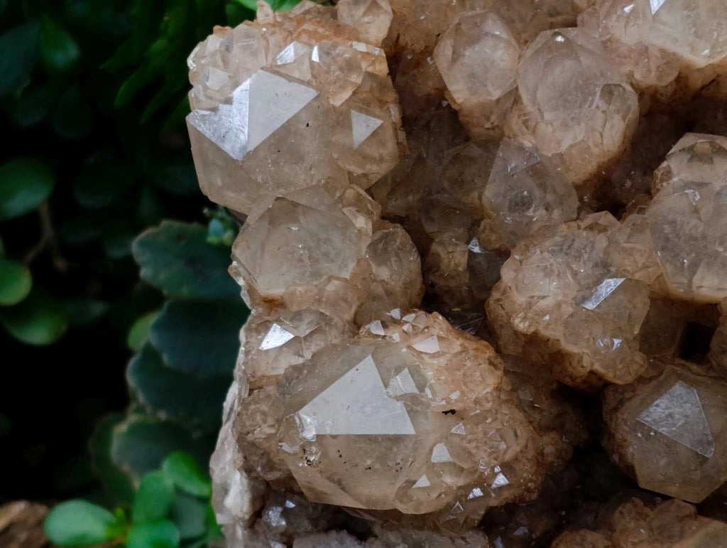 Natural XXL Cascading White Phantom Smokey Luena Quartz Cluster x 1 From Luena, Congo - Toprock Gemstones and Minerals 