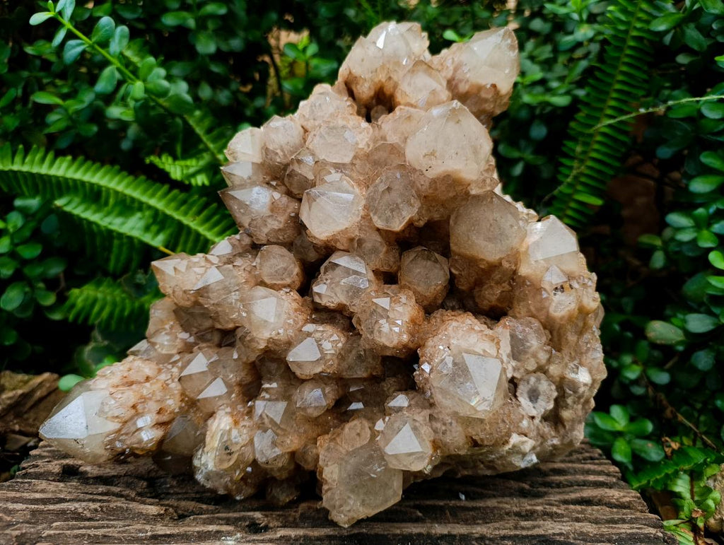 Natural XXL Cascading White Phantom Smokey Luena Quartz Cluster x 1 From Luena, Congo - Toprock Gemstones and Minerals 