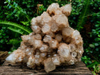 Natural XXL Cascading White Phantom Smokey Luena Quartz Cluster x 1 From Luena, Congo - Toprock Gemstones and Minerals 