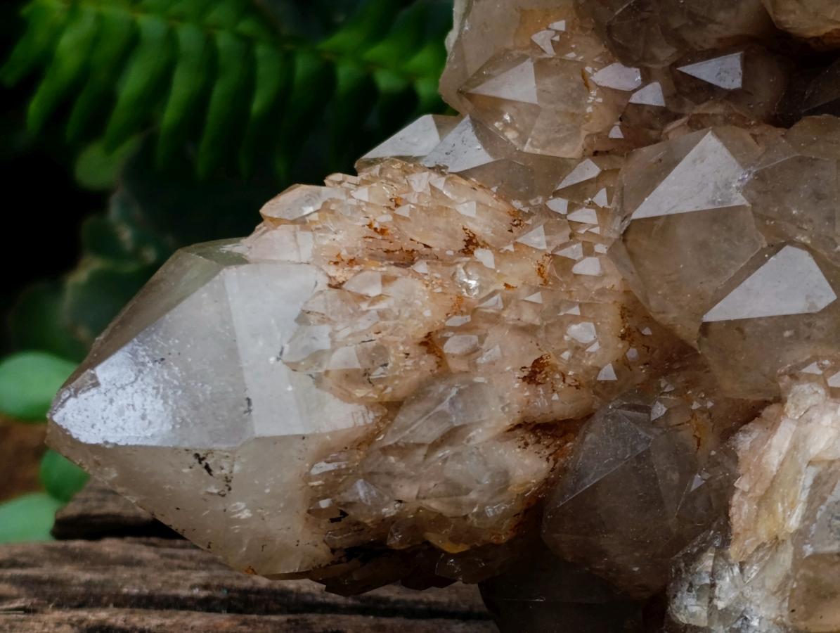 Natural XXL Cascading White Phantom Smokey Luena Quartz Cluster x 1 From Luena, Congo - Toprock Gemstones and Minerals 