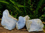 Natural Blue Lace Agate Specimens x 3 From Nsanje, Malawi - Toprock Gemstones and Minerals 