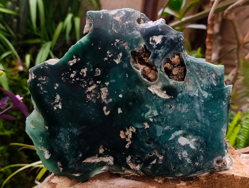 Polished XL One Side Mtorolite Chrysoprase Slice x 1 From Mutorashanga, Zimbabwe - Toprock Gemstones and Minerals 