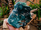 Polished XL One Side Mtorolite Chrysoprase Slice x 1 From Mutorashanga, Zimbabwe - Toprock Gemstones and Minerals 