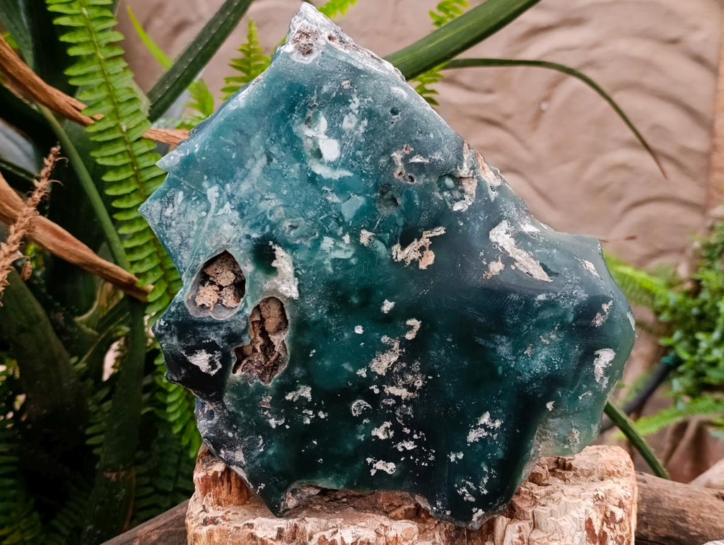 Polished XL One Side Mtorolite Chrysoprase Slice x 1 From Mutorashanga, Zimbabwe - Toprock Gemstones and Minerals 