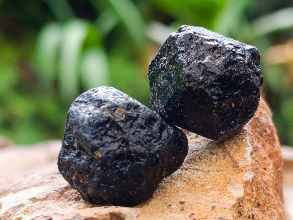 Natural Mini Schorl Black Tourmaline Double Terminated Crystals and Crystals x 1,71 Kg Lot From Zimbabwe - Toprock Gemstones and Minerals 