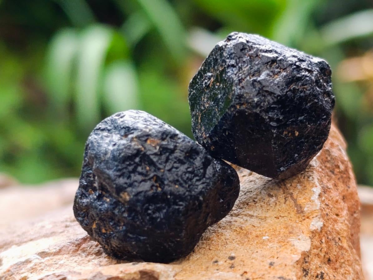Natural Mini Schorl Black Tourmaline Double Terminated Crystals and Crystals x 1,71 Kg Lot From Zimbabwe - Toprock Gemstones and Minerals 