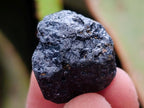 Natural Mini Schorl Black Tourmaline Double Terminated Crystals and Crystals x 1,71 Kg Lot From Zimbabwe - Toprock Gemstones and Minerals 