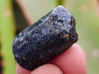 Natural Mini Schorl Black Tourmaline Double Terminated Crystals and Crystals x 1,71 Kg Lot From Zimbabwe - Toprock Gemstones and Minerals 