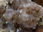 Natural Smokey Spirit Amethyst Clusters x 3 From Boekenhouthoek, South Africa - Toprock Gemstones and Minerals 