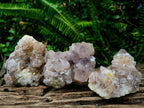 Natural Smokey Spirit Amethyst Clusters x 3 From Boekenhouthoek, South Africa - Toprock Gemstones and Minerals 