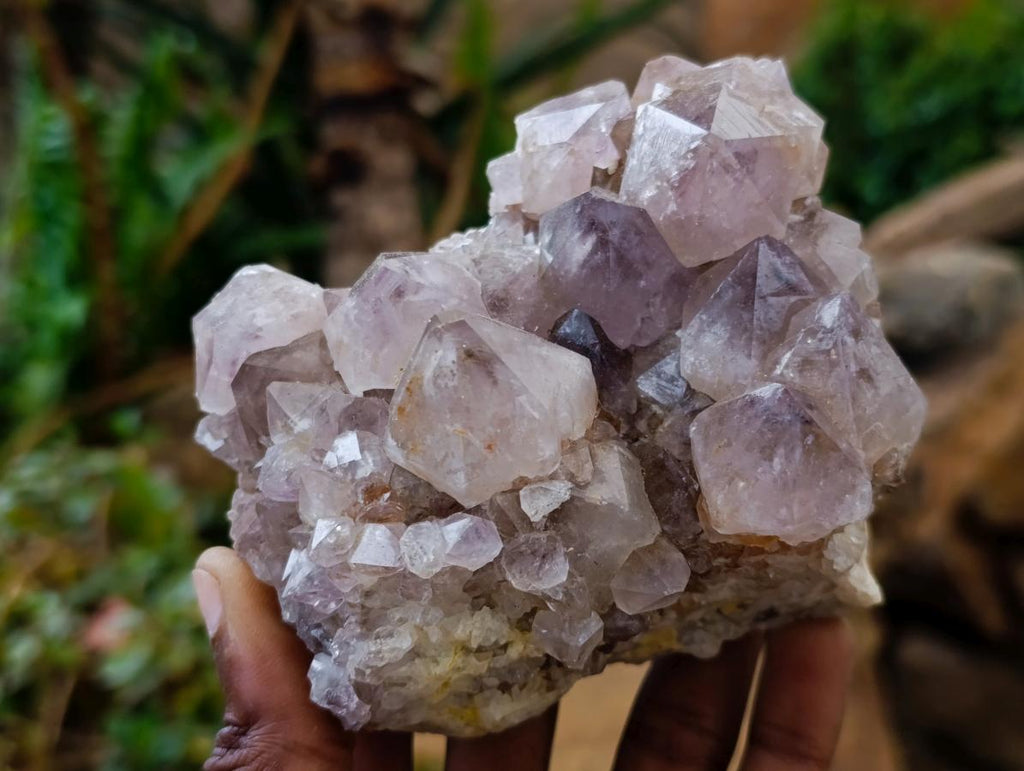 Natural Smokey Spirit Amethyst Clusters x 3 From Boekenhouthoek, South Africa - Toprock Gemstones and Minerals 