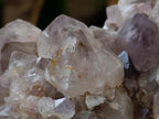 Natural Smokey Spirit Amethyst Clusters x 3 From Boekenhouthoek, South Africa - Toprock Gemstones and Minerals 