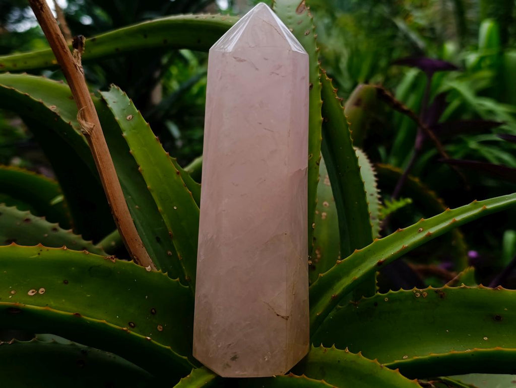 Polished Gemmy Rose Quartz Crystals x 3 From Madagascar - Toprock Gemstones and Minerals 
