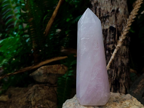 Polished Gemmy Rose Quartz Crystals x 3 From Madagascar - Toprock Gemstones and Minerals 