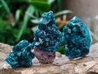 Natural Small Dioptase Specimens on Dolomite Matrix x 20 From Tantara Mine, Congo - Toprock Gemstones and Minerals 