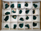 Natural Small Dioptase Specimens on Dolomite Matrix x 20 From Tantara Mine, Congo - Toprock Gemstones and Minerals 