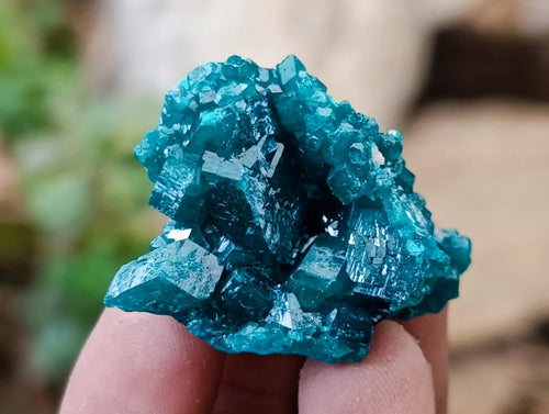 Natural Small Dioptase Specimens on Dolomite Matrix x 20 From Tantara Mine, Congo - Toprock Gemstones and Minerals 