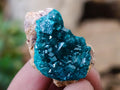 Natural Small Dioptase Specimens on Dolomite Matrix x 20 From Tantara Mine, Congo - Toprock Gemstones and Minerals 