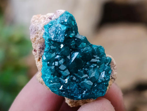 Natural Small Dioptase Specimens on Dolomite Matrix x 20 From Tantara Mine, Congo - Toprock Gemstones and Minerals 